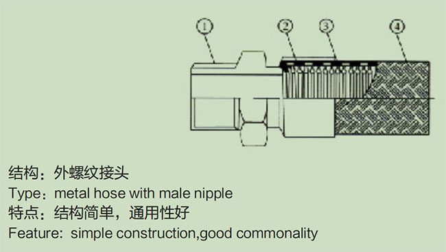 6a.jpg